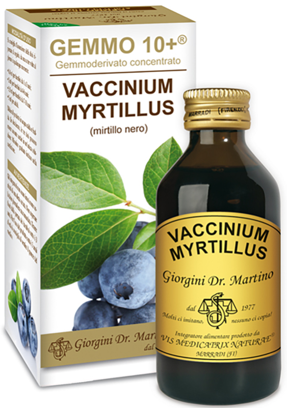 GEMMO 10+ GEMMODERIVATO CONCENTRATO VACCINIUM MYRTILLUS MIRTILLO NERO SENZA ALCOOL 100 ML - Farma Nice