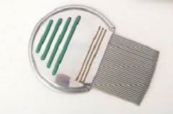 PETTINE ACCIAIO PER RIMOZIONE PIDOCCHI - Farma Nice