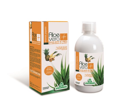 SUCCO ALOEVERA+ ANANAS/PAPAIA 1000 ML - Farma Nice