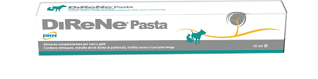 DIRENE PASTA 15 ML - Farma Nice