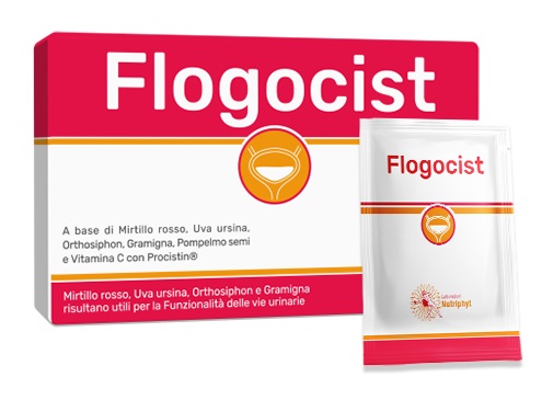 FLOGOCIST 10 BUSTINE - Farma Nice