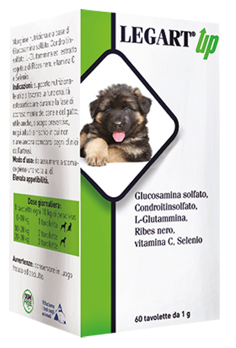 LEGART UP 60 COMPRESSE DA 1 G - Farma Nice