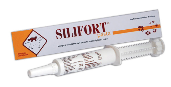 SILIFORT PASTA OS SIRINGA 30 G - Farma Nice