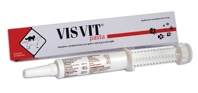 VISVIT PASTA OS SIRINGA 15 G - Farma Nice