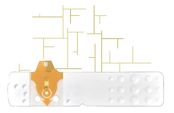STRISCE MISURAZIONE GLICEMIA LINEA D ORO 25 PEZZI - Farma Nice