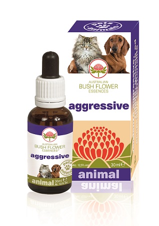 AGGRESSIVE 30 ML - Farma Nice
