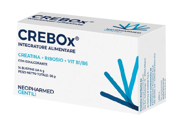 CREBOX 14 BUSTINE - Farma Nice