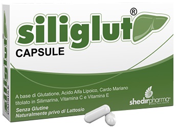 SILIGLUT 20 CAPSULE - Farma Nice
