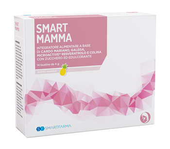 SMART MAMMA 14 BUSTINE GUSTO ANANAS - Farma Nice