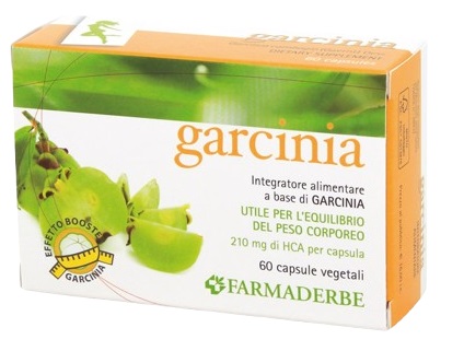 GARCINIA 60 CAPSULE 34,2 G - Farma Nice
