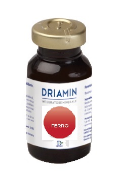 DRIAMIN FERRO 15 ML - Farma Nice
