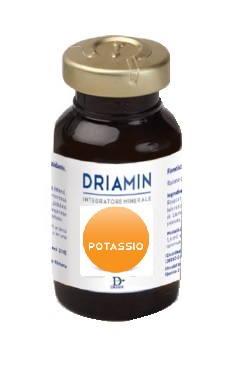 DRIAMIN POTASSIO 15 ML - Farma Nice