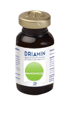 DRIAMIN MANGANESE 15 ML - Farma Nice