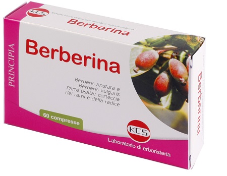 BERBERINA DA BERBERIS VULGARIS ESTRATTO SECCO 60 COMPRESSE - Farma Nice
