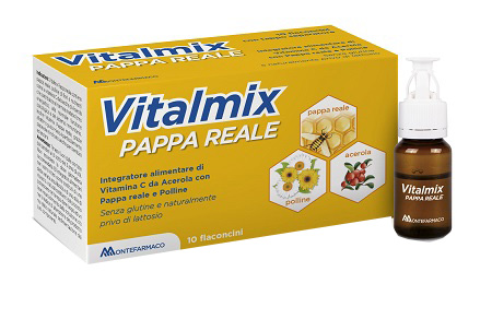 VITALMIX PAPPA REALE 10FLACONCINI X10 ML S/GL - Farma Nice