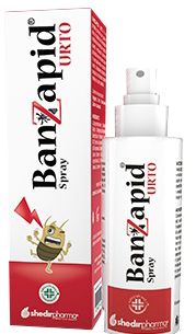 BANZAPID SPRAY TRATTAMENTO 100 ML - Farma Nice