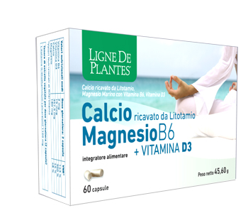 CALCIO + MAGNESIO B6 + VITAMINA D3 60 CAPSULE - Farma Nice