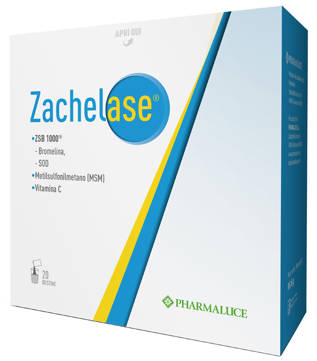 ZACHELASE 20 BUSTINE - Farma Nice