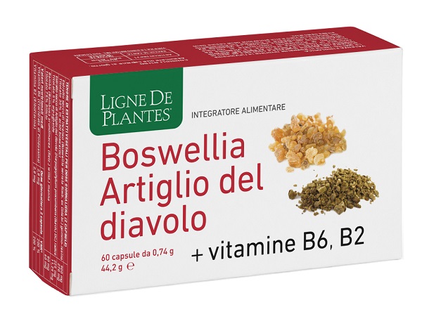 BOSWELLIA ARTIGLIO DIAVOLO VITAMINE B2 B6 B9 60 CAPSULE - Farma Nice