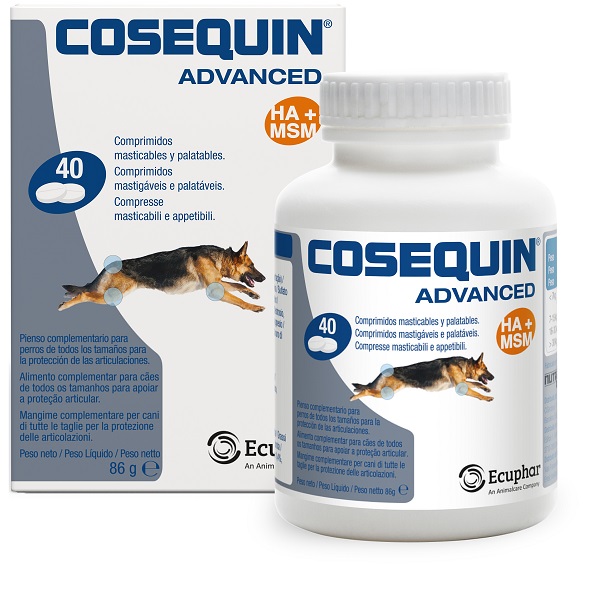 COSEQUIN GATTI 15 CAPSULE - Farma Nice