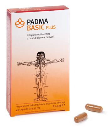 PADMA BASIC PLUS 40 CAPSULE - Farma Nice