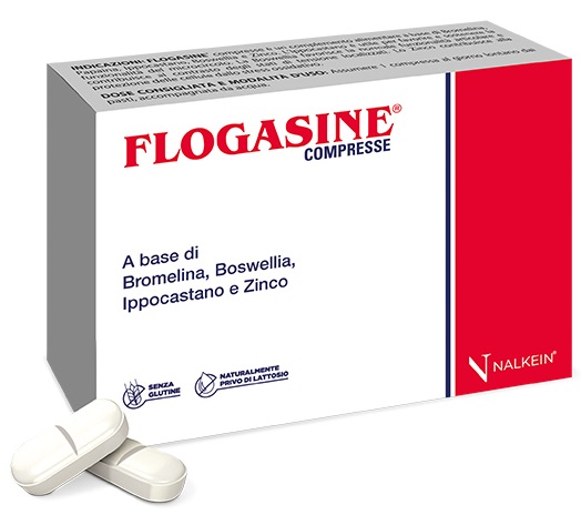 FLOGASINE 20 COMPRESSE - Farma Nice