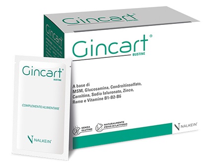GINCART 18 BUSTINE - Farma Nice