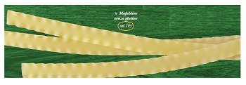 E MAFALDINE 500 G - Farma Nice