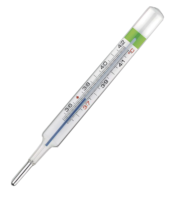 COLPHARMA THERMO GREEN PLUS TERMOMETRO - Farma Nice
