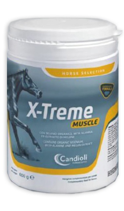 X-TREME MUSCLE BARATTOLO 600 G - Farma Nice