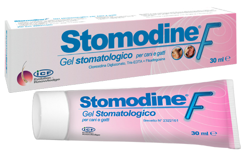 STOMODINE F 30 ML - Farma Nice