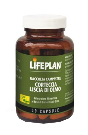 CORTECCIA LISCIA DI OLMO 50 CAPSULE - Farma Nice