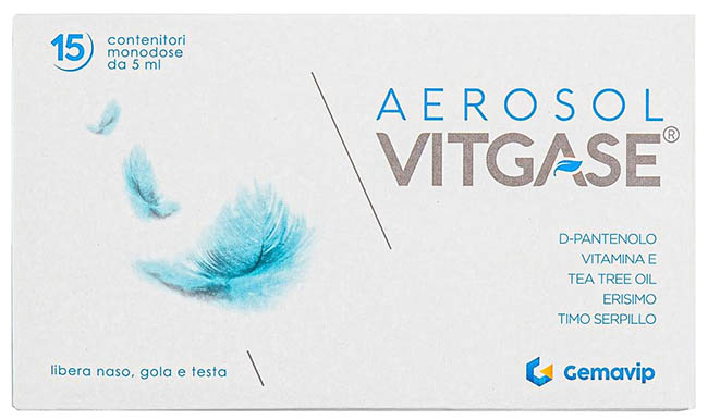 VITGASE AEROSOL 15 FLACONCINI 5 ML - Farma Nice