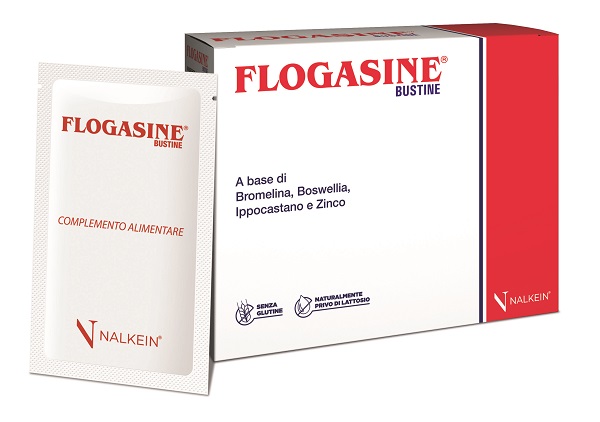 FLOGASINE 20 BUSTINE - Farma Nice