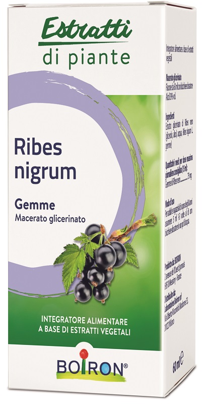 RIBES NIGRUM BOIRON MACERATO GLICERICO 60 ML - Farma Nice