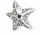 BJT978 ORECCHINI SEA STAR C STAINLESS STEEL - Farma Nice