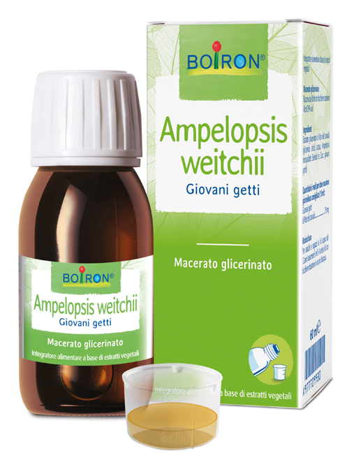 AMPELOPSIS WESTRATTO IDROALCOLICO BOIRON MACERATO GLICERICO 60 ML - Farma Nice
