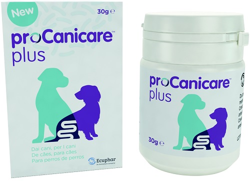 PROCANICARE PLUS 30 G - Farma Nice
