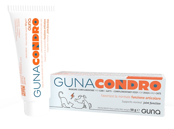 GUNACONDRO 50 G - Farma Nice
